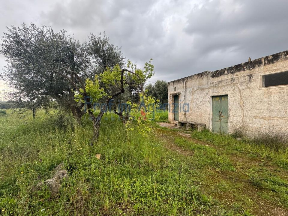 Farm hus i Ostuni, Brindisi - foto 2
